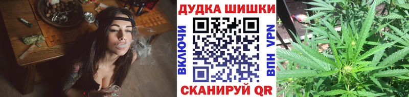 Купить где  Игарка  Канабис сатива 